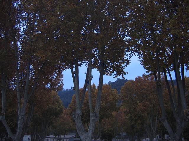Photo 031.jpg